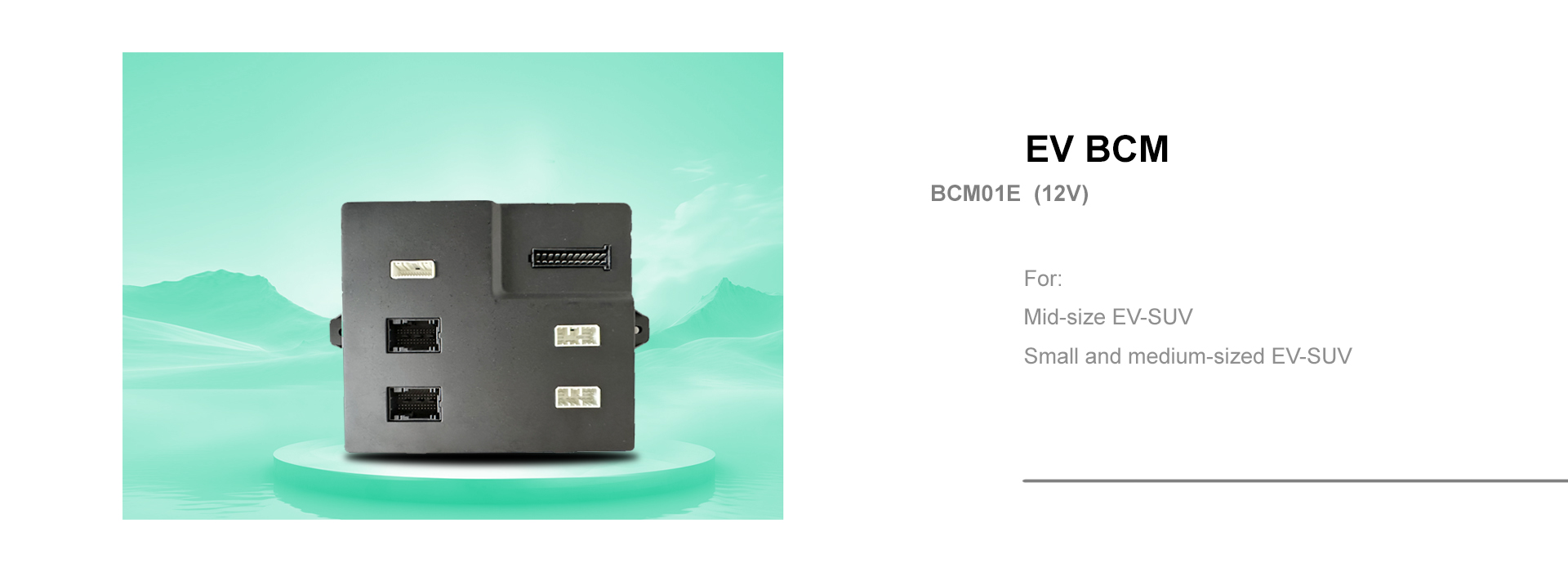 BCM01E