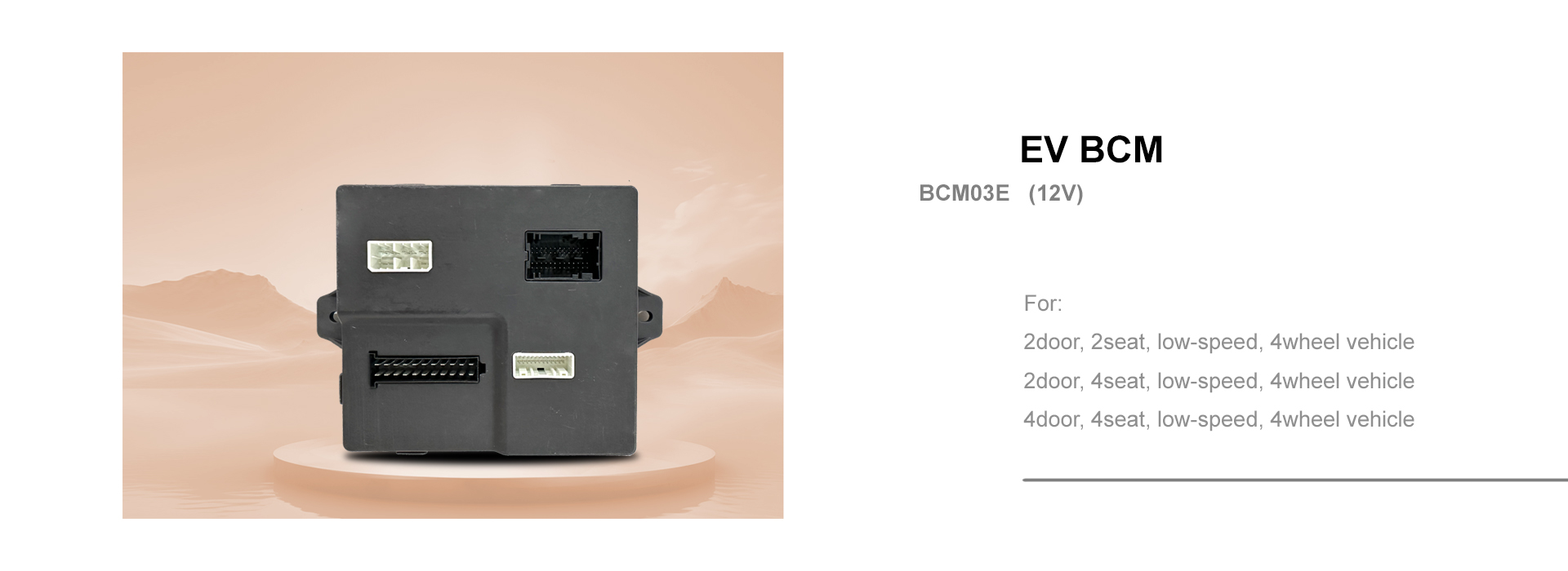 BCM03E